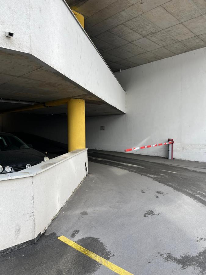 Apartman Didi2- Free Private Parking-Garage Novi Sad Dış mekan fotoğraf